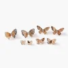 Butterfly Stud Earring Set