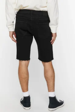 Embroidered Wire & Roses Denim Shorts