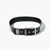 Faux Leather Studded Belt