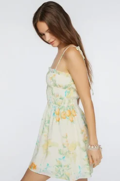 Floral Print Tie-Strap Mini Dress