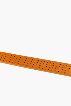 Girls Perforated Faux Leather Belt (Kids)