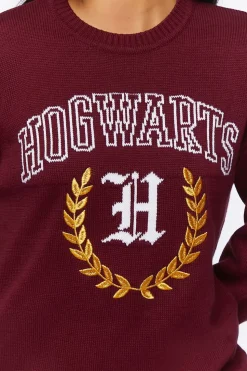 Hogwarts Graphic Pullover