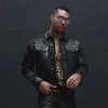 Metallic Wash Denim Jacket