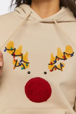 Reindeer Embroidered Graphic Hoodie