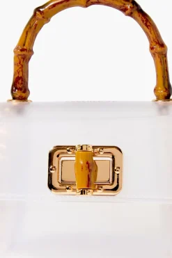 Transparent Mini Crossbody Bag