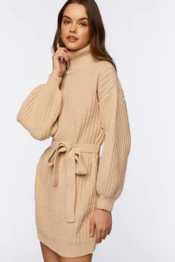 Turtleneck Mini Sweater Dress